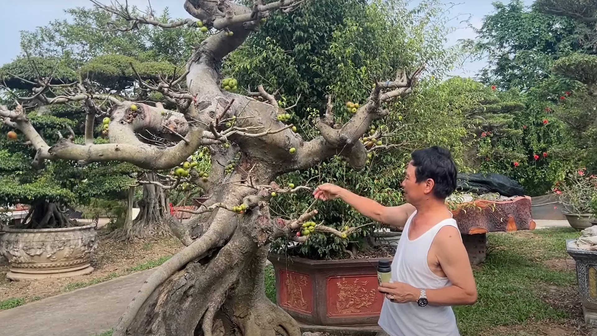 CHO SUNG RA QUẢ LÀ VIỆC RẤT DỄ LÀM